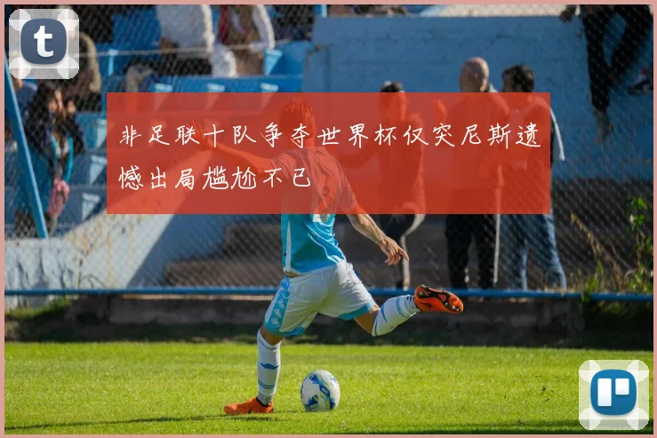 非足联十队争夺世界杯仅突尼斯遗憾出局尴尬不已