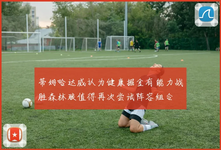 蒂姆哈达威认为健康掘金有能力战胜森林狼值得再次尝试阵容组合